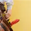 Handyman repair service in Myrtle Beach, SC for home fixes and improvements