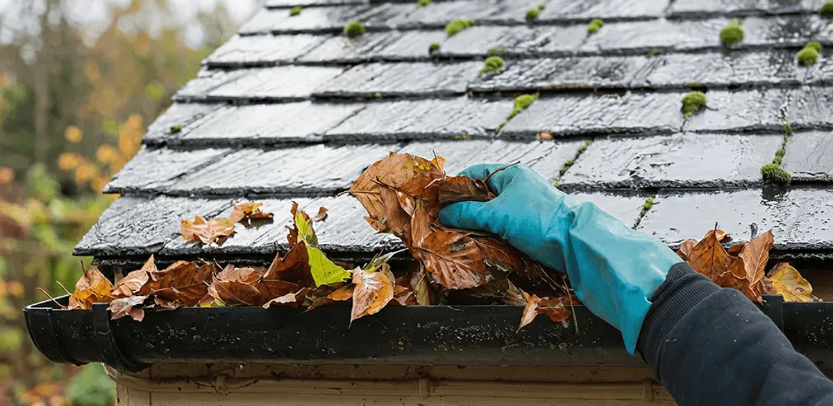 Gutter cleaning technician clearing wet leaves from roof gutters in Myrtle Beach, SC